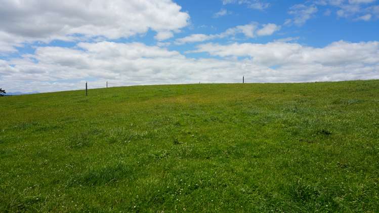 78 Cemetery Road Culverden_16