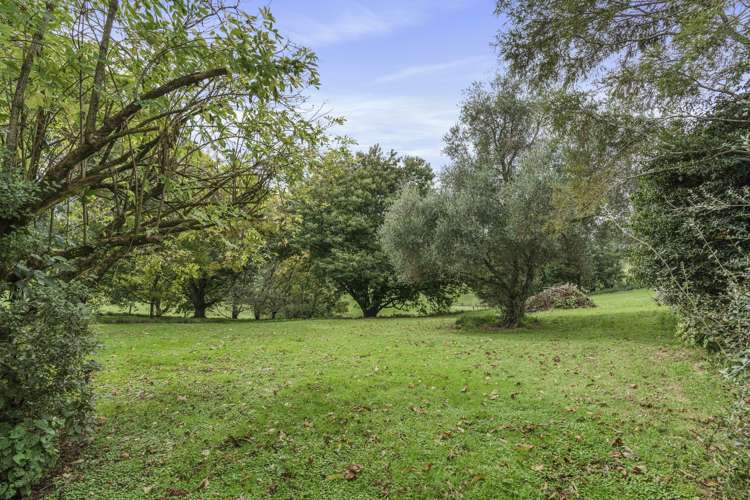 1135 Richmond Road Inglewood_19