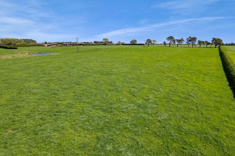 40 Arthur Street Hawera_5