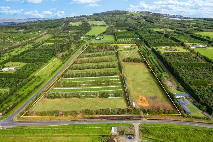 28 Nisbet Road Maungatapere_2