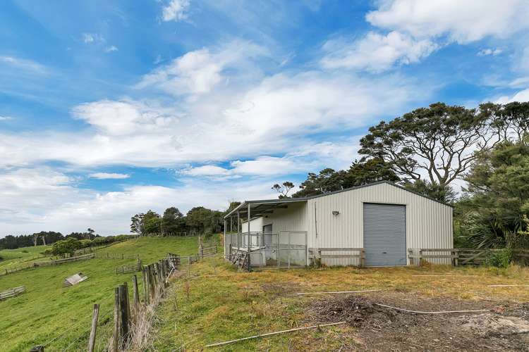 125 Alf Access Road Helensville_7