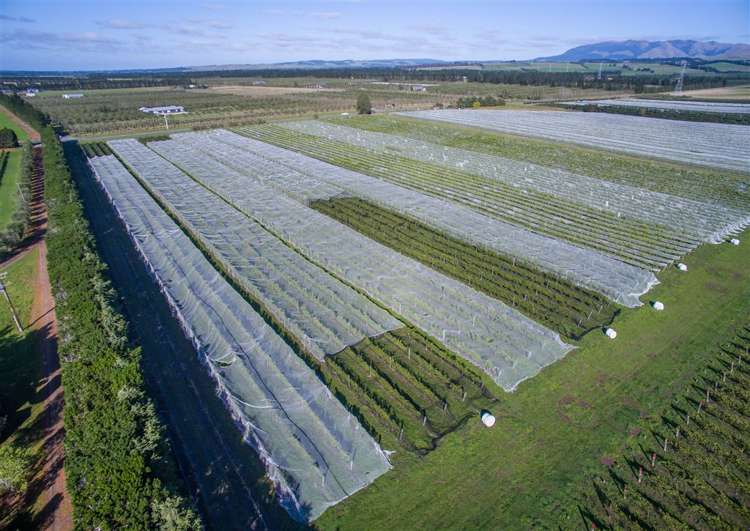 288 Georges Road Amberley_3