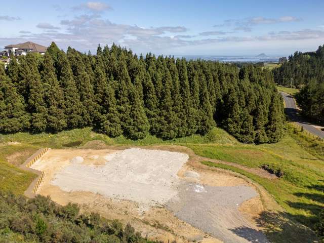 324a Rowe Road Ohauiti_1