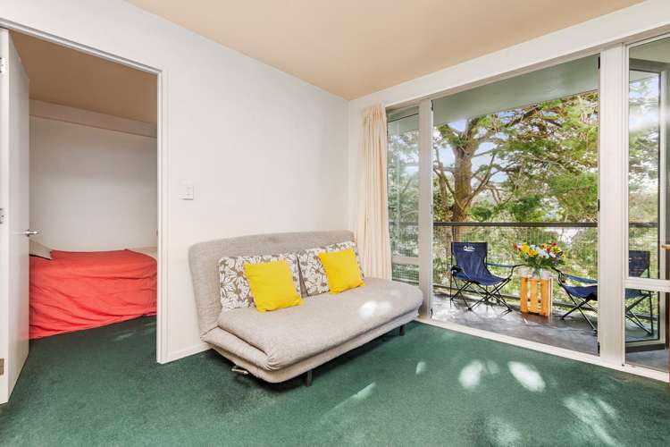 3g/250 Richmond Road Grey Lynn_7