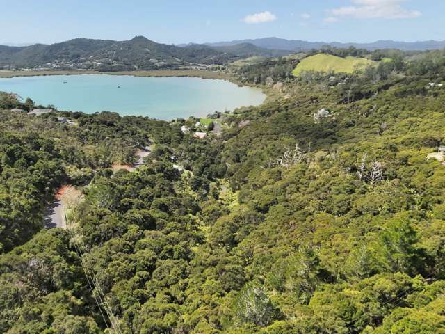 Te Wahapu Road Russell_3