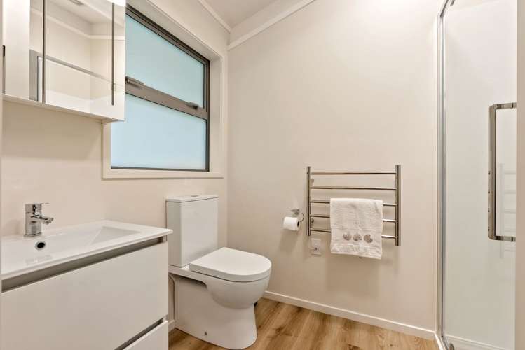 8 Mount Pleasant Road Aro Valley_16