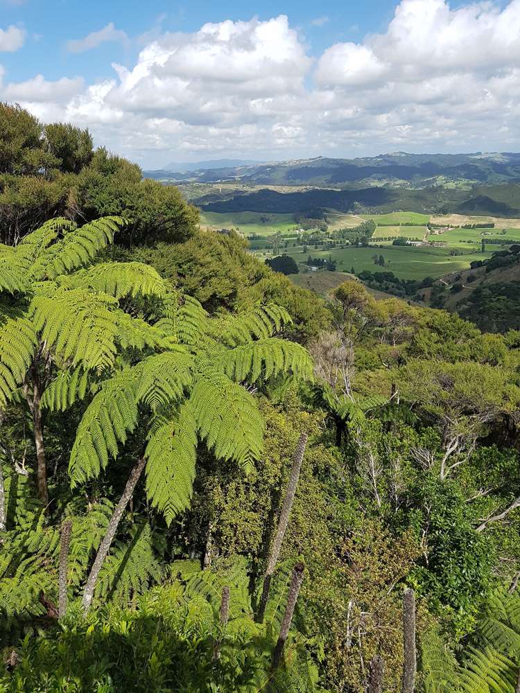 75 Omatai Road Peria_11