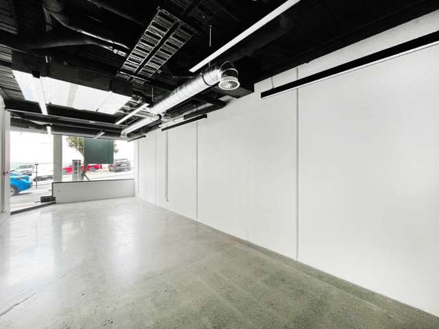 Unit 2/12 Vinegar Lane Grey Lynn_4