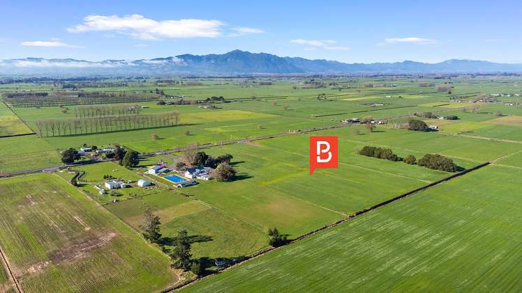 No 1 Road Morrinsville_0