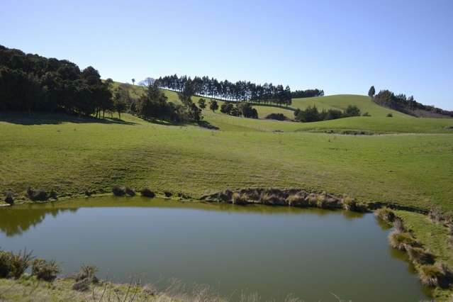 Waitepeka School Road Clutha_2