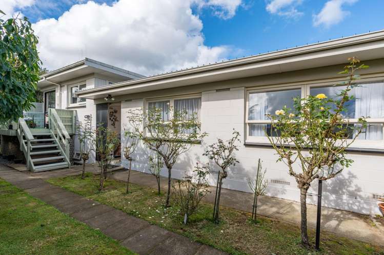 1 Irene Crescent Dinsdale_10