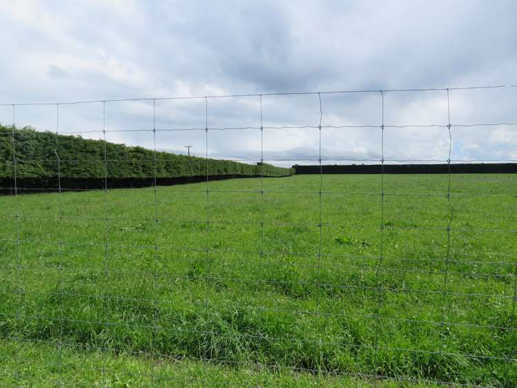 146 Elgin Road Elgin_12