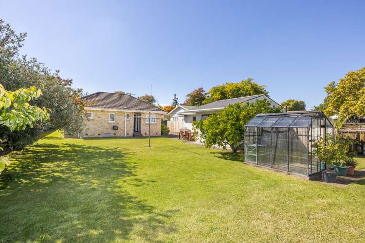 137 Galloway Street Hamilton East_16