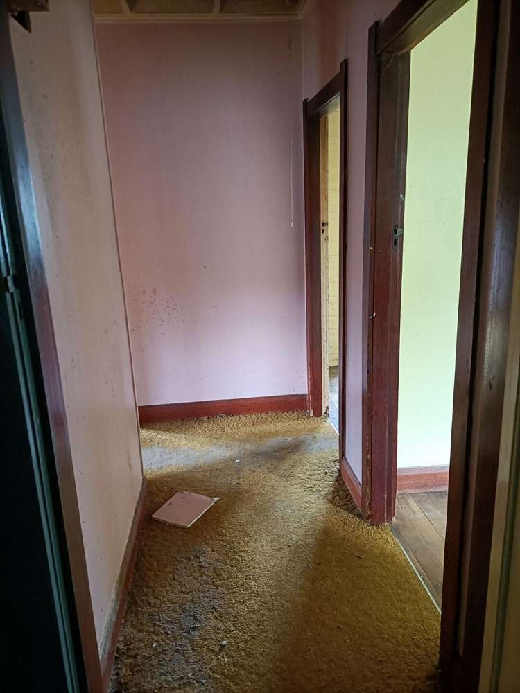 26 Ellis Road Benneydale_8