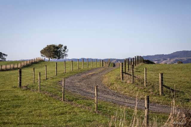 3578b State Highway 23 Raglan_2