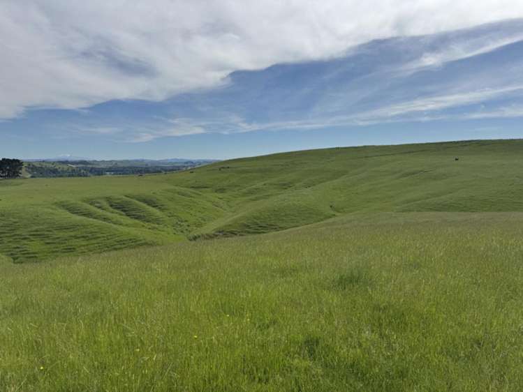 302 Bruce Road Turakina_16