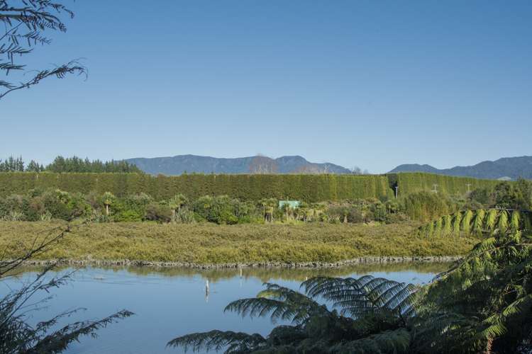 10 Bransley Grove Katikati_15