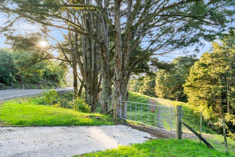389A Crane Road Kauri_13