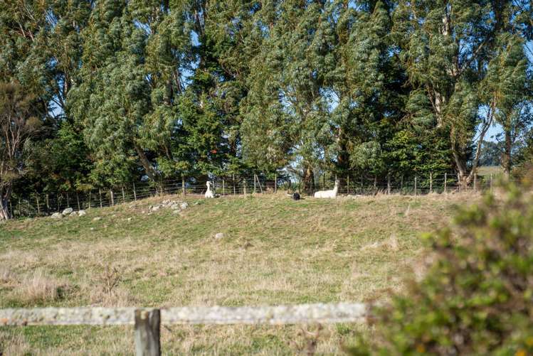 1827 State Highway 2 Tauwharenikau_22