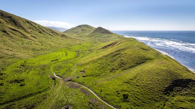 Paoanui Pourerere_16