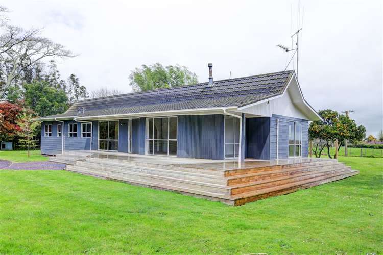 94b Webster Road Matangi_1