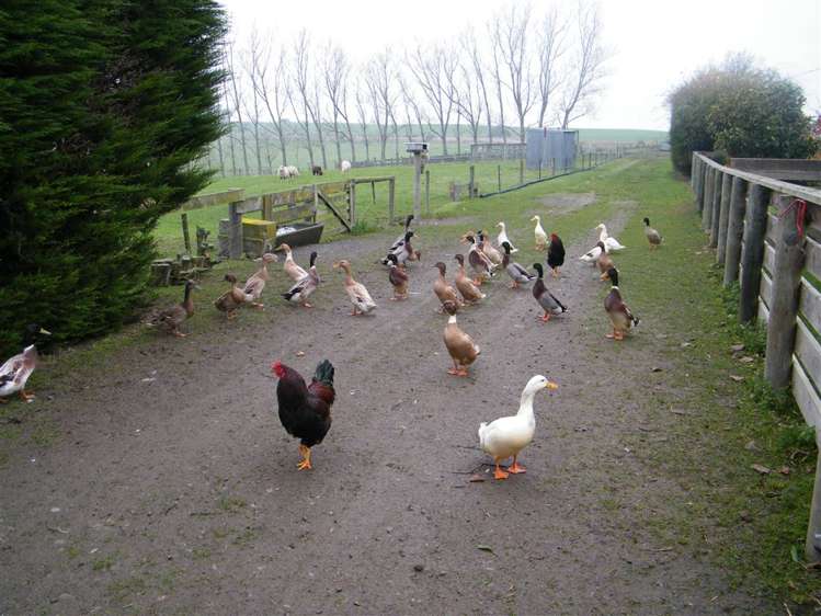 136 Rolling Ridges Road Levels Valley_34