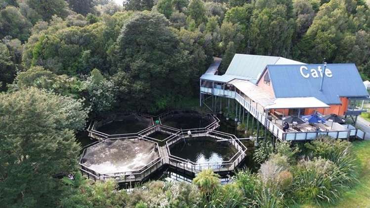 ‘Gangbusters’ salmon farm in the middle of nowhere has $600,000 price tag