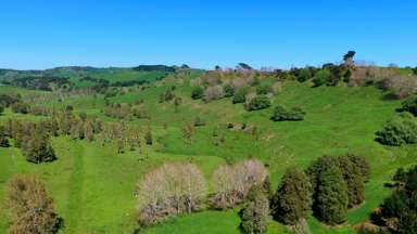 246 Allen and Eyre Road_4