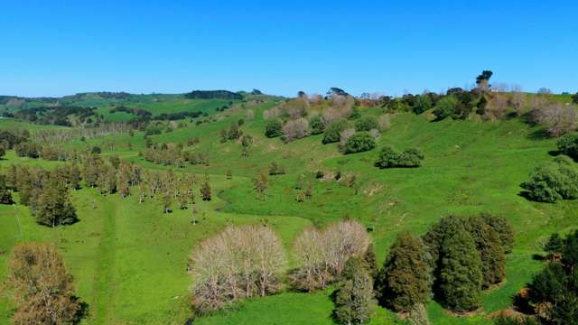 246 Allen and Eyre Road Onewhero_4