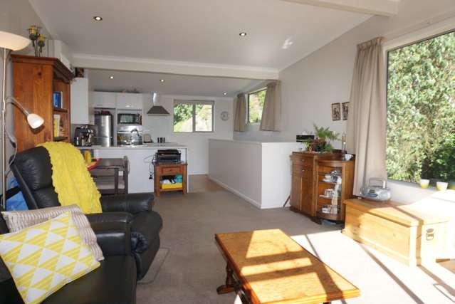 66k Maclaggan Street Dunedin Central_3