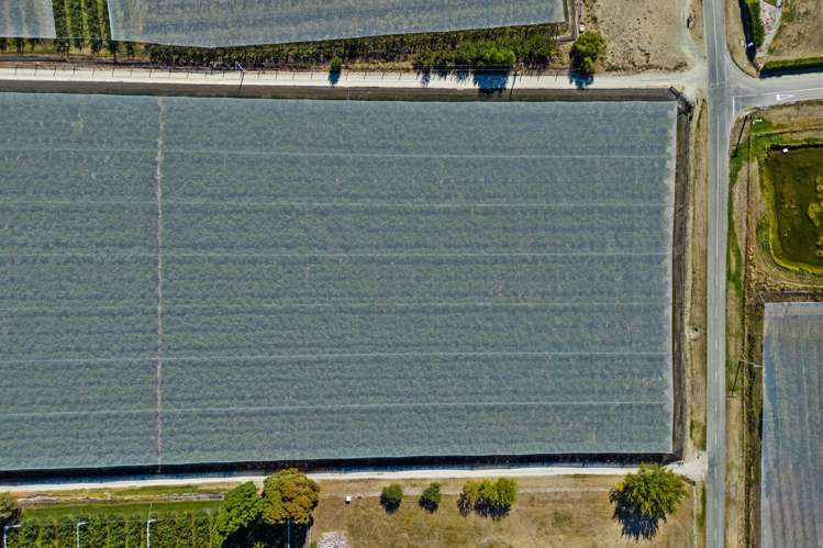 260 Ripponvale Road Cromwell_12