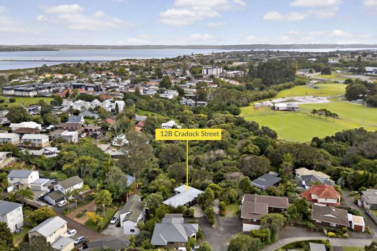 12B Cradock Street Avondale_19