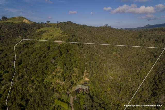 595 Rangihau Road Coroglen_1