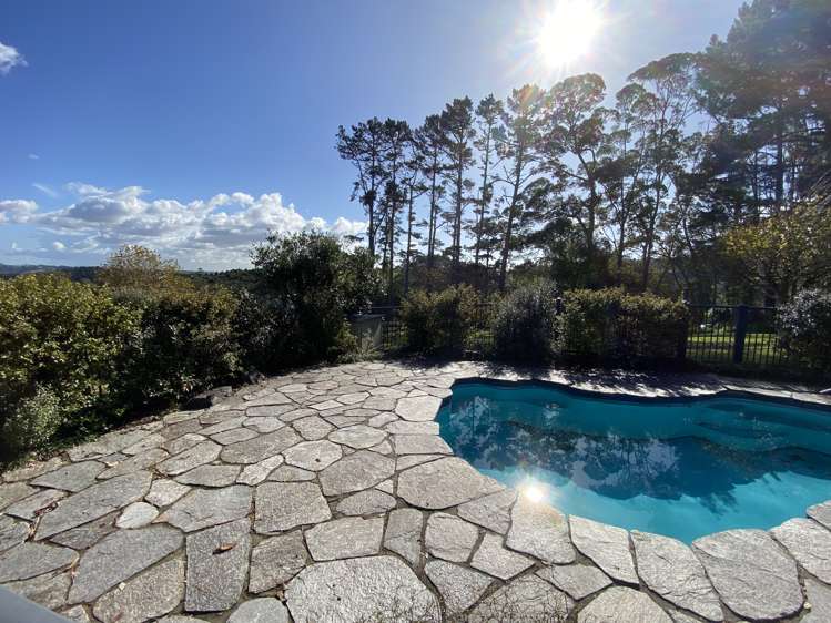 264 Ara-Kotinga Whitford_2