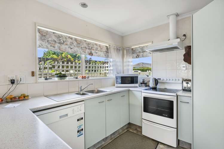 265 Waihi Road Judea_1