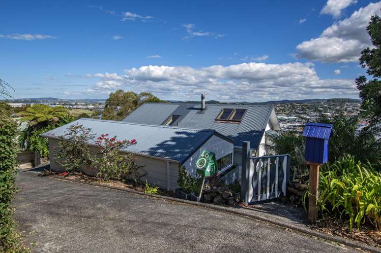 48 Punga Grove Avenue Riverside_11