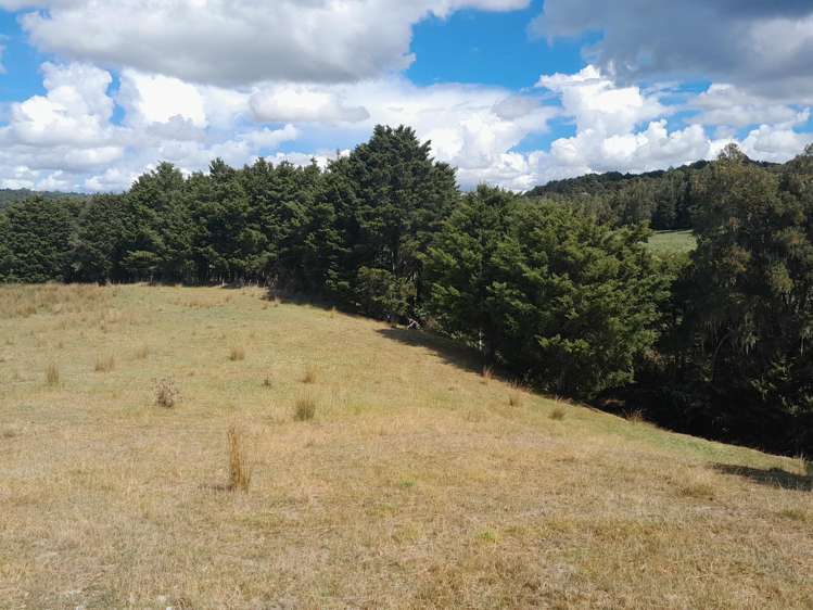 596 Waimate North Road Kerikeri_5