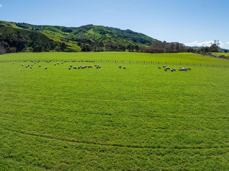 Lots 1 and 2 DP 428308 - Wharerata Road Muriwai_8