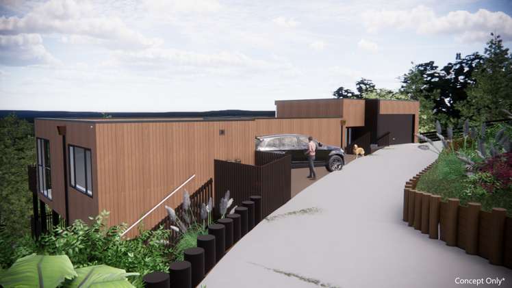 39h Cape Horn Road Mount Roskill_6