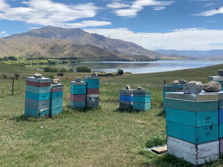 3570 Omarama-Otematata Road Otematata_4