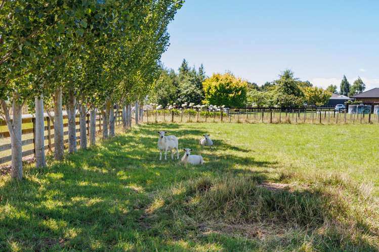 572 Taonui Road Colyton_19