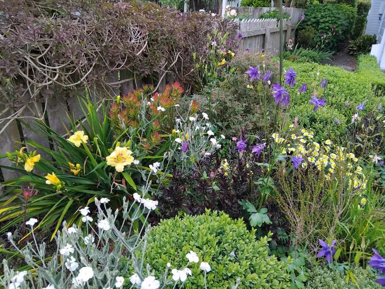 21 Signal Street Marton_27