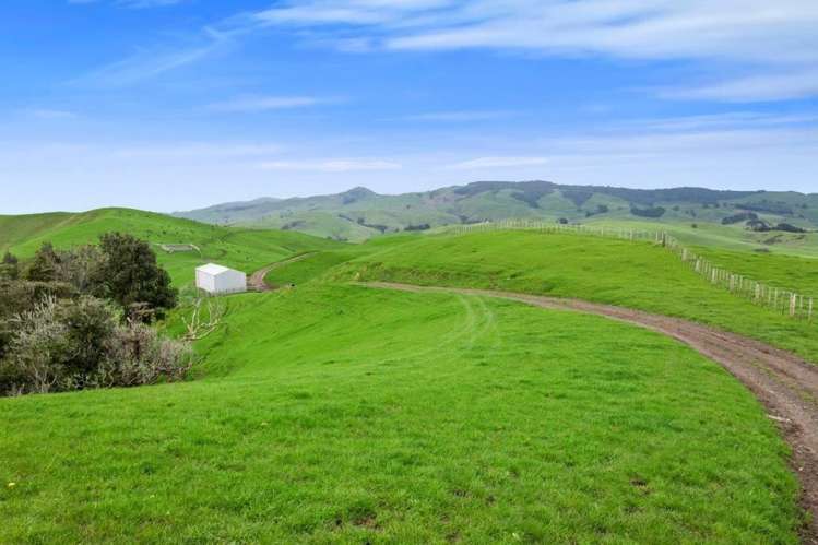 500 Tahuroa Road Tauwhare_5