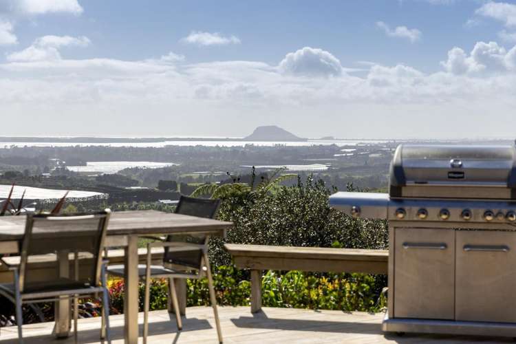 252 Whakamarama Road Whakamarama_17