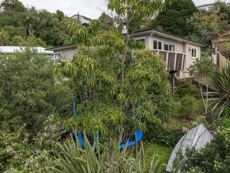 22 Thompson Terrace Toi Toi_6