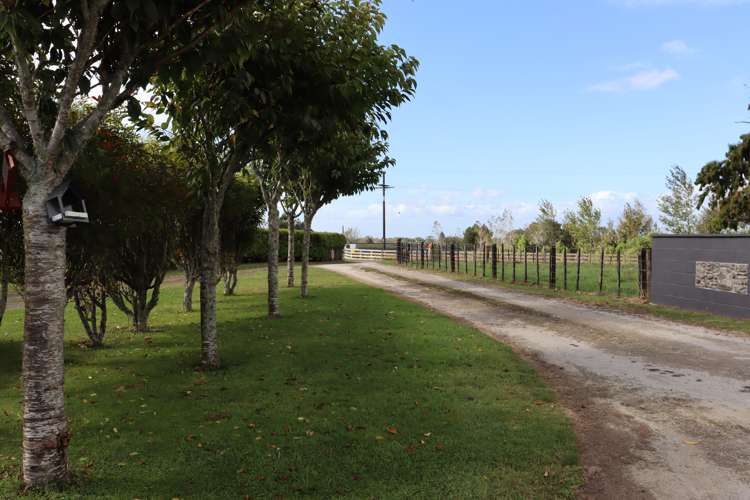 174 Bedford Road North Inglewood_23