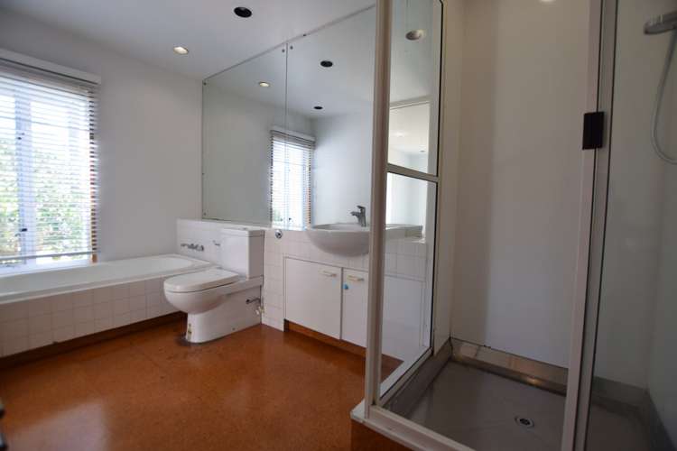 14b Rosedale Avenue Mount Eden_5