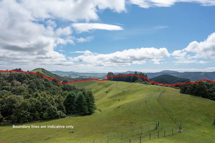 2603 State Highway 41 Kuratau_12