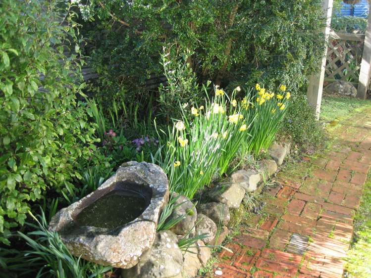 4 Ocean Grove Owaka_10