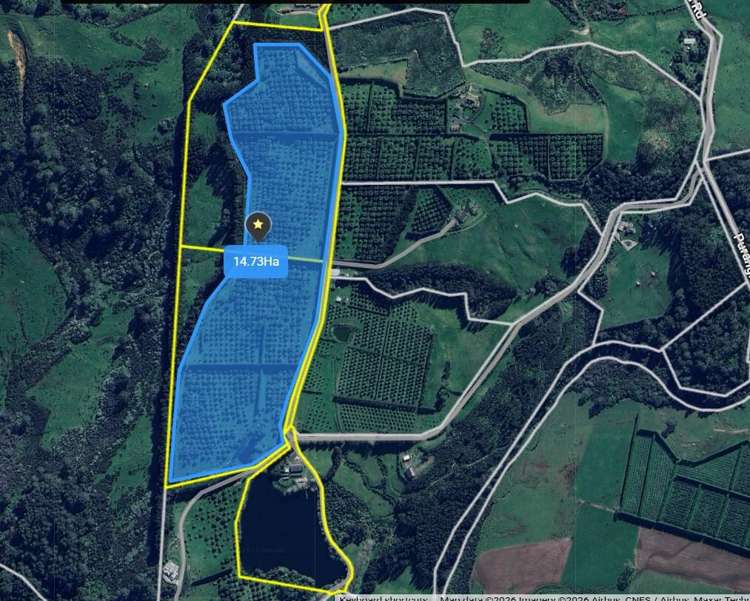 121C Purangi Road Whenuakite_13